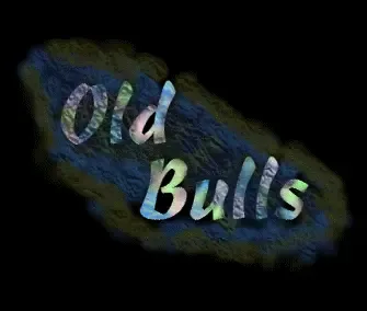 Moments - by Old Bulls - 1995 - Demo